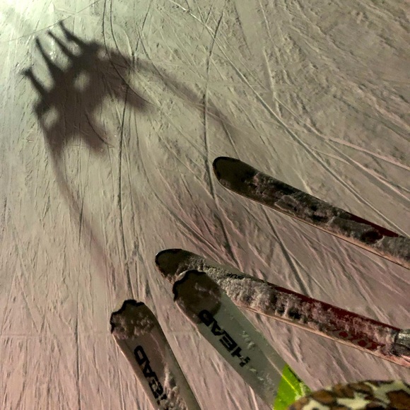 Meet your Posher, Frannie - Picture 1 of 1